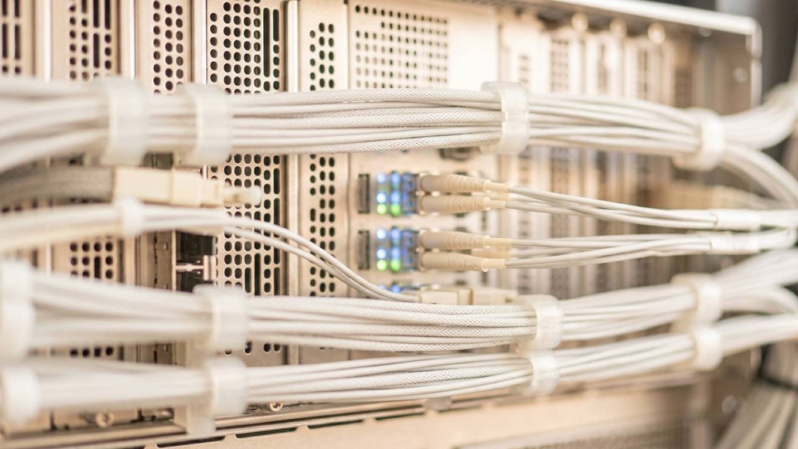 Close-up of bundled network cabling and indicator lights on a server